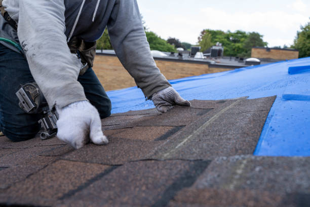 Best Commercial Roofing Services  in Clare, MI