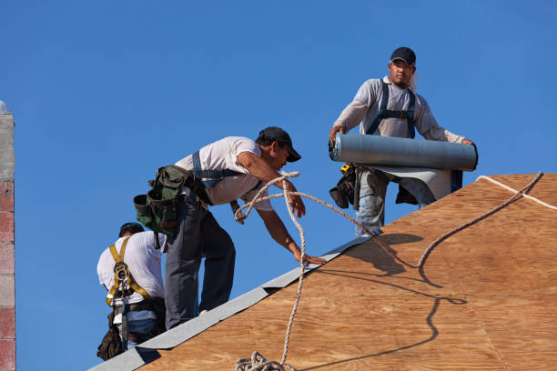 Best Metal Roofing Contractor  in Clare, MI